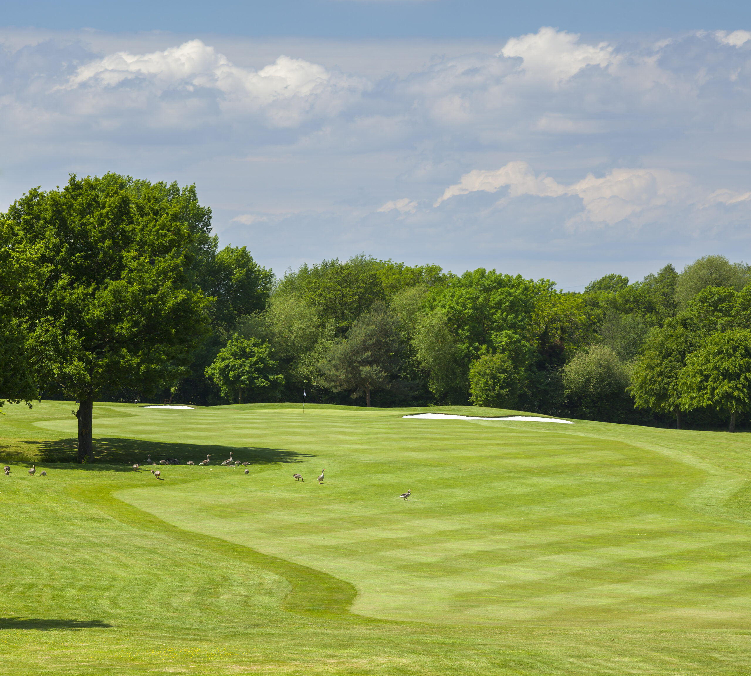 FOA.05.06.15.tele.Ayl.9 - WeLoveGolfTravel