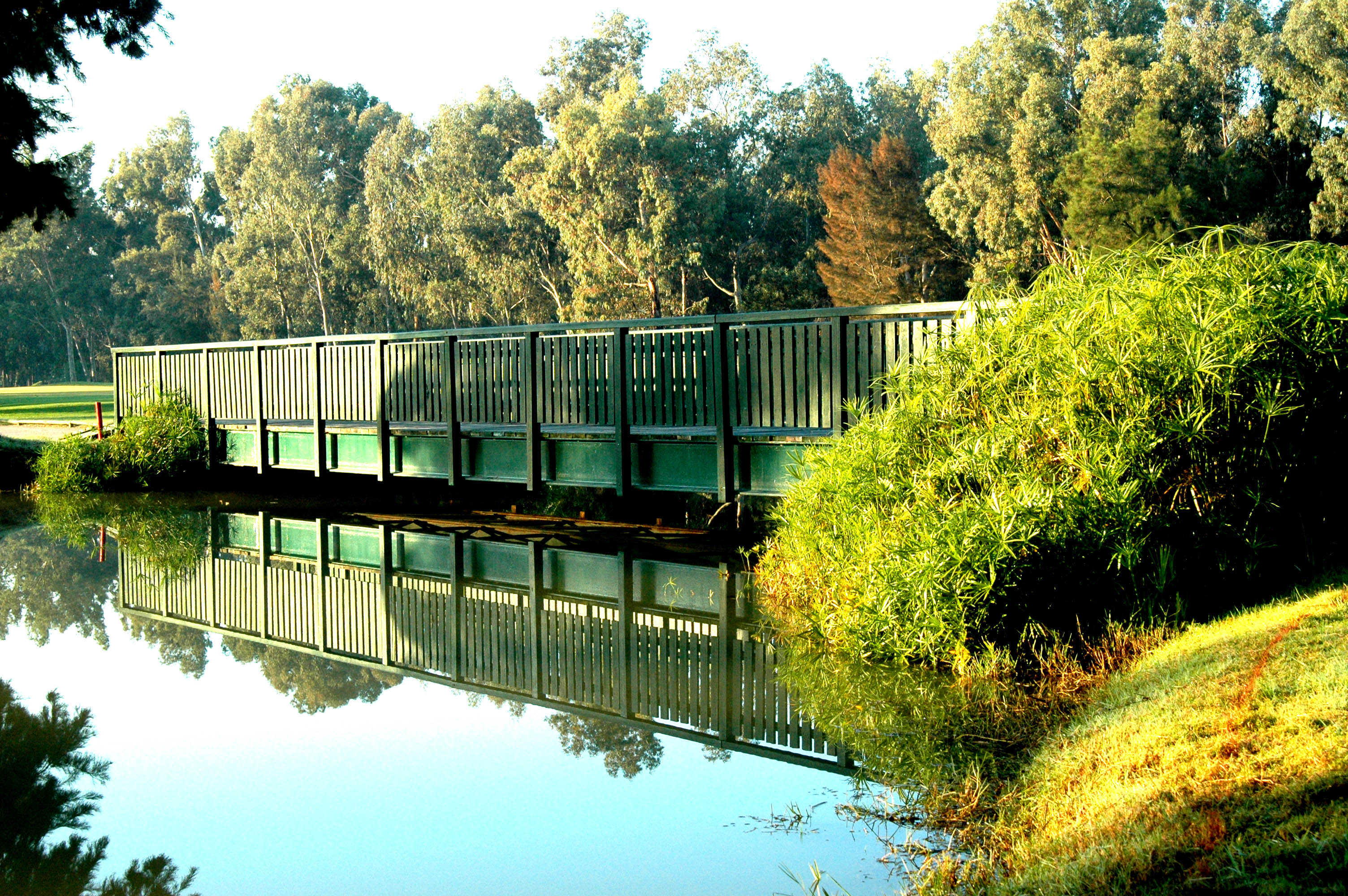 Penina Championship GC (11) - WeLoveGolfTravel