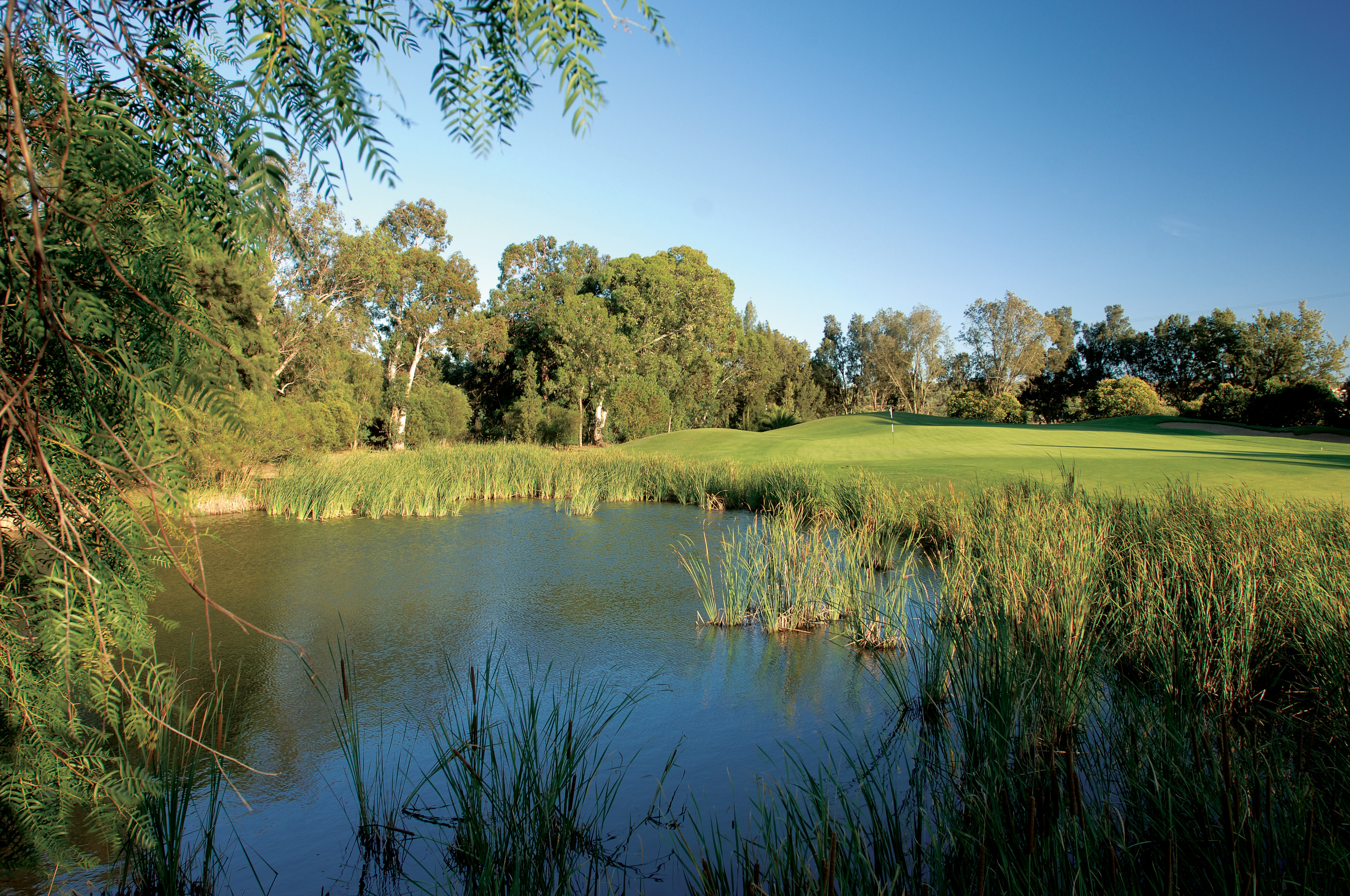 Penina Championship GC (34) - WeLoveGolfTravel