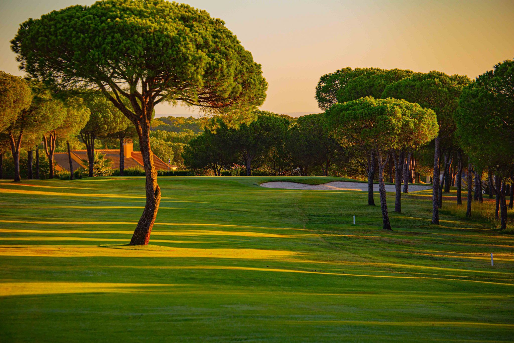 bellavista-golfweblimitado-32-2048x1365 - WeLoveGolfTravel