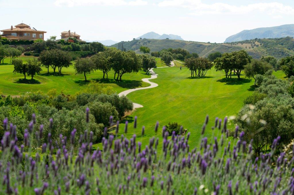 HOYO 1 (28) - WeLoveGolfTravel
